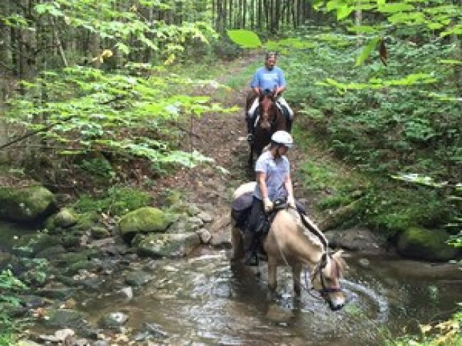 Northeast Kingdom Equestrian Trails
